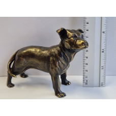 Staffordshire bull terrier middel verbronsd